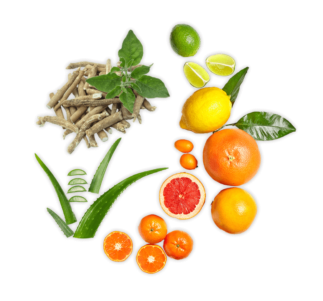 fruits ingredients