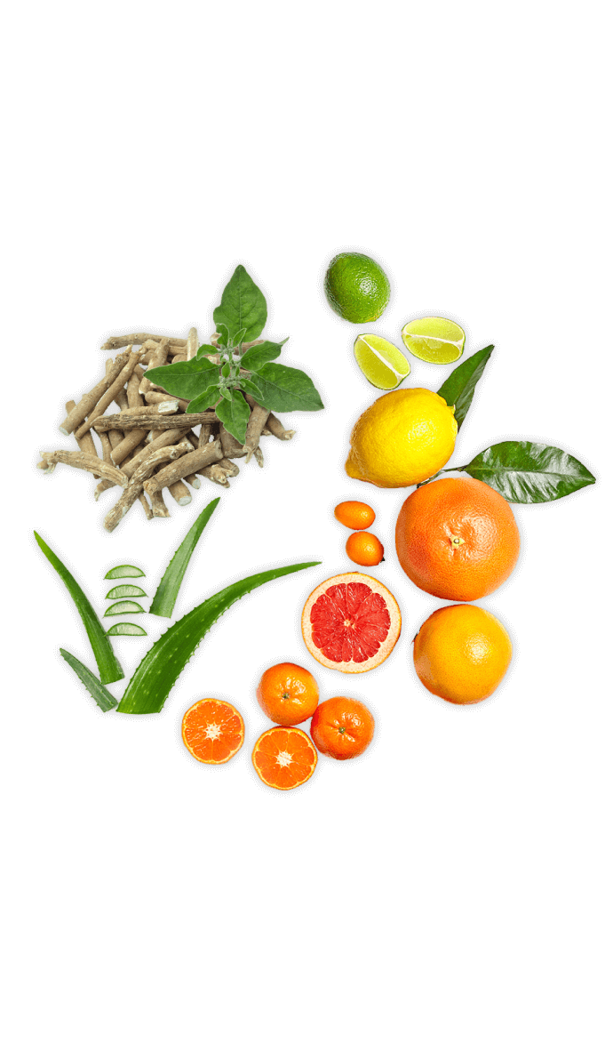 fruits ingredients