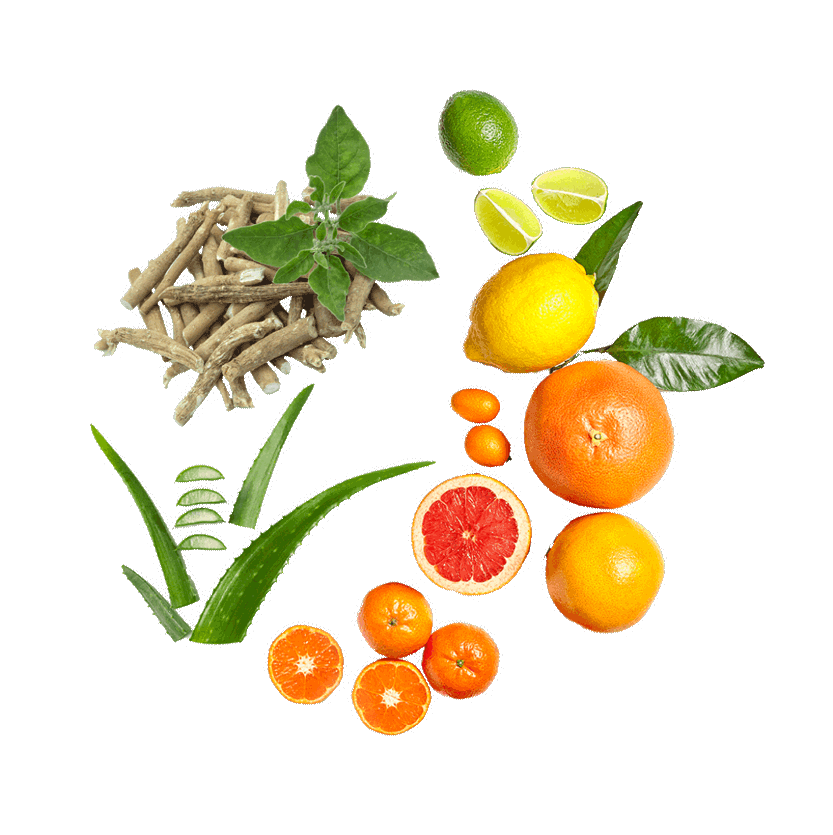 fruits ingredients