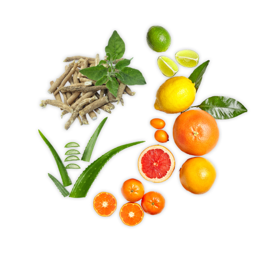 fruits ingredients